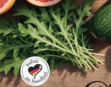 Rucola im Angebot bei Netto mit dem Scottie in Kiel Rucola Angebote von GO Regio bei Netto mit dem Scottie Kiel für 0,79 €