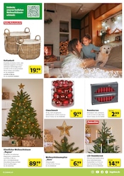 Korb im Hagebaumarkt Prospekt in Mainz Aktueller Hagebaumarkt Prospekt mit Korb, "VERSCHÖNERE MIT UNS DEINEN GARTEN", Seite 7