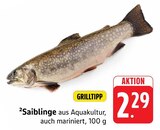 E center Nürtingen - Saiblinge Angebot im Prospekt Saiblinge bei E center im Nürtingen Prospekt für 2,29 €