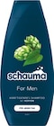 Shampoo von Schauma im aktuellen Netto mit dem Scottie Prospekt