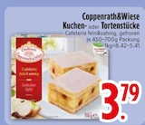 Kuchen- oder Tortenstücke im Angebot bei EDEKA in Friedrichshafen Kuchen- oder Tortenstücke Angebote von Coppenrath&Wiese bei EDEKA Friedrichshafen für 3,79 €