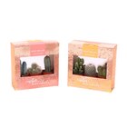 Lot de 3 succulentes ou cactus - Carrefour à Strasbourg Lot de 3 succulentes ou cactus en promo chez Carrefour Strasbourg à 4,79 €