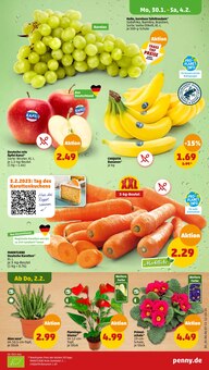Valentinstag Angebot im Penny-Markt Prospekt, gültig von 30.01.2023 bis 05.02.2023 Valentinstag Angebot im aktuellen Penny-Markt Prospekt auf Seite 5