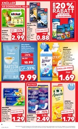 Kaufland Kitekat katzenfutter im Prospekt 