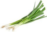 Aktuelle Gemüse Angebote bei REWE in Ludwigshafen (Rhein) Aktuelles Lauchzwiebel Angebot bei REWE in Ludwigshafen (Rhein) ab 0,55 €