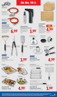 Gasgrill im Lidl Prospekt "LIDL LOHNT SICH" mit 71 Seiten (Freiburg (Breisgau))