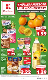 Kaufland Prospekt für Lennestadt mit 69 Seiten