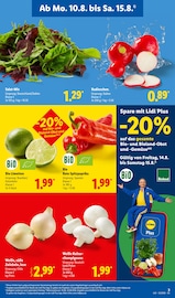 Pilze im Lidl Prospekt in Erfurt Aktueller Lidl Prospekt mit Pilze, "LIDL LOHNT SICH", Seite 3