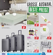 Aktueller Marktkauf Prospekt mit Picknickdecke, "Aktuelle Angebote", Seite 24
