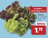 combi Enger - Salatrio Angebot im Prospekt Salatrio bei combi im Enger Prospekt für 1,11 €