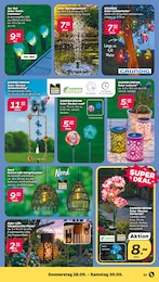 Laterne Angebot & Preis im aktuellen Netto mit dem Scottie Prospekt Laterne Angebot im aktuellen Netto mit dem Scottie Prospekt auf Seite 25