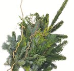 Koniferen-Strauß von KOLLES BESTE im aktuellen Pflanzen Kölle Prospekt für 8,88 €