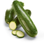 Zucchini im Angebot bei Netto Marken-Discount in Falkensee Zucchini Angebote bei Netto Marken-Discount Falkensee für 1,29 €