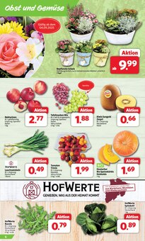 Kürbis im aktuellen Markant Nordwest Prospekt (Osnabrück) Kürbis im Markant Nordwest Prospekt "DER MARKT FÜR GUTES ESSEN UND TRINKEN" mit 12 Seiten (Osnabrück)