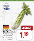 combi Damme - Staudensellerie Angebot im Prospekt Staudensellerie bei combi im Damme Prospekt für 1,19 €