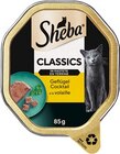 Classics Geflügel Cocktail Angebote von Sheba bei REWE Bayreuth für 0,49 €