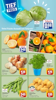 Pflanzen im aktuellen REWE Prospekt (Bochum) Pflanzen im REWE Prospekt "Dein Markt" mit 28 Seiten (Bochum)