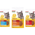 SUR TOUTES LES CROQUETTES POUR CHAT - COMPANINO VITALIVE - Carrefour Market SUR TOUTES LES CROQUETTES POUR CHAT - COMPANINO VITALIVE dans le catalogue Carrefour Market