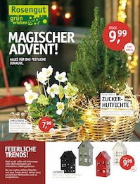 Garten & Pflanzen Prospekt von ROSENGUT Langerwisch in Teltow Aktueller ROSENGUT Langerwisch Garten & Pflanzen Prospekt für Teltow: MAGISCHER ADVENT! mit 12} Seiten, 05.11.2025 - 16.11.2025