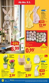 Aktueller Lidl Prospekt mit Tulpen, "LIDL LOHNT SICH", Seite 48
