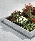 Granit-Rasenkante Hellgrau Angebote bei Hagebaumarkt Witten für 11,99 €