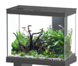 Ensemble aquarium alto 60 - AQUADISIO dans le catalogue Animalis