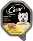 Hundenahrung Angebote von Cesar bei Kaufland Homburg für 0,75 €