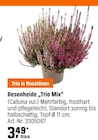 Besenheide "Trio Mix" bei OBI im Pößneck Prospekt für 3,49 €