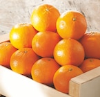 Promo Mandarine à 2,49 € dans le catalogue Intermarché Super à Lyon