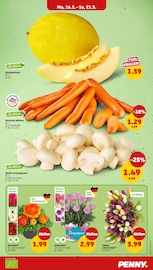 Aktueller Penny Prospekt mit Pflanzen, "Wer günstig will, muss Penny.", Seite 3