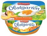 Pfirsich-Maracuja Angebote von Ehrmann bei Kaufland Hanau für 0,49 €