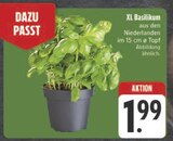 XL Basilikum im Angebot bei E center in Würzburg XL Basilikum Angebote bei E center Würzburg für 1,99 €