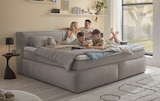 BOXSPRINGBETT von esposa für 1.599,00 € bei XXXLutz im Angebot BOXSPRINGBETT von esposa im aktuellen XXXLutz Prospekt