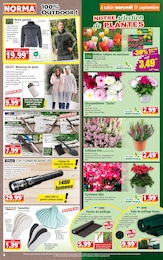 Offre Chrysanthèmes dans le catalogue Norma du moment à la page 4