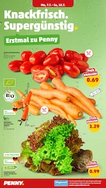 Aktueller Penny Prospekt mit Tomaten, "Wer günstig will, muss Penny.", Seite 2