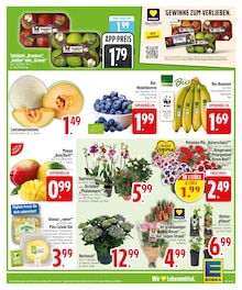 Bananen im EDEKA Prospekt "Wir lieben Lebensmittel." mit 26 Seiten (Ingolstadt)