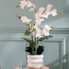 Orchidée mick pot ciment en promo chez Maxi Bazar Aubervilliers à 19,99 €