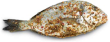 Grill-Dorade-Royal im Angebot bei Netto Marken-Discount in Altenburg Grill-Dorade-Royal Angebote bei Netto Marken-Discount Altenburg für 1,39 €