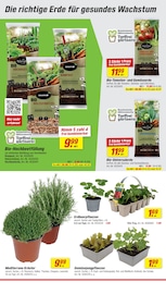 Aktueller toom Baumarkt Prospekt mit Gartenerde, "Respekt, wer's selber macht.", Seite 2