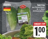 EDEKA Neundorf - Salat Crisp Angebot im Prospekt Salat Crisp bei EDEKA im Neundorf Prospekt für 1,00 €