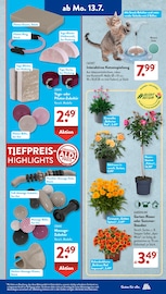 Ähnliche Fitnessgeräte Angebote im Prospekt "Gutes für Alle." von ALDI SÜD in Konstanz Ähnliche Angebote wie Fitnessgeräte im Prospekt "Gutes für Alle." auf Seite 12 von ALDI SÜD in Konstanz