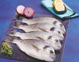 Daurade royale d'aquaculture en promo chez Super U Brest à 9,60 €