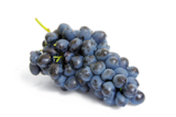 RAISIN MUSCAT - SANS MARQUE dans le catalogue Auchan Hypermarché