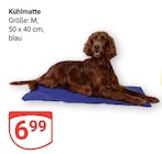 Kühlmatte bei GLOBUS im Prospekt "" für 6,99 €