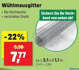 Wühlmausgitter bei Thomas Philipps im Passau Prospekt für 7,77 €