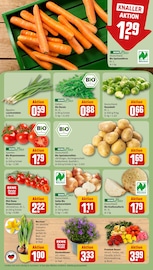 Blumen im REWE Prospekt in Dresden Aktueller REWE Prospekt mit Blumen, "Dein Markt", Seite 7