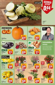Pflanzen im REWE Prospekt "Dein Markt" mit 36 Seiten (Braunschweig)