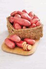 Pomme de terre de consommation à chair ferme - U en promo chez U Express Pomme de terre de consommation à chair ferme - U dans le catalogue U Express