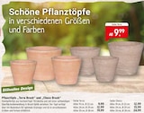 Aktuelles Pflanztöpfe Terra Brush oder Choco Brush Angebot bei Raiffeisenmarkt in Herne ab 9,99 €