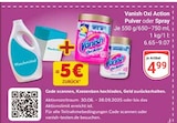 Aktuelle Waschmittel Angebote bei GLOBUS in Leipzig Aktuelles Oxi Action Pulver oder Spray Angebot bei GLOBUS in Leipzig ab 4,99 €